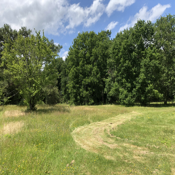 Offres de vente Terrain Le Taillan-Médoc 33320